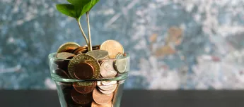 Plant money jar