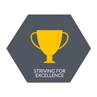 Striving for excellence icon